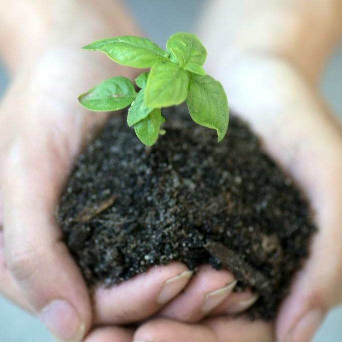 Image for Commitment to Sustainability